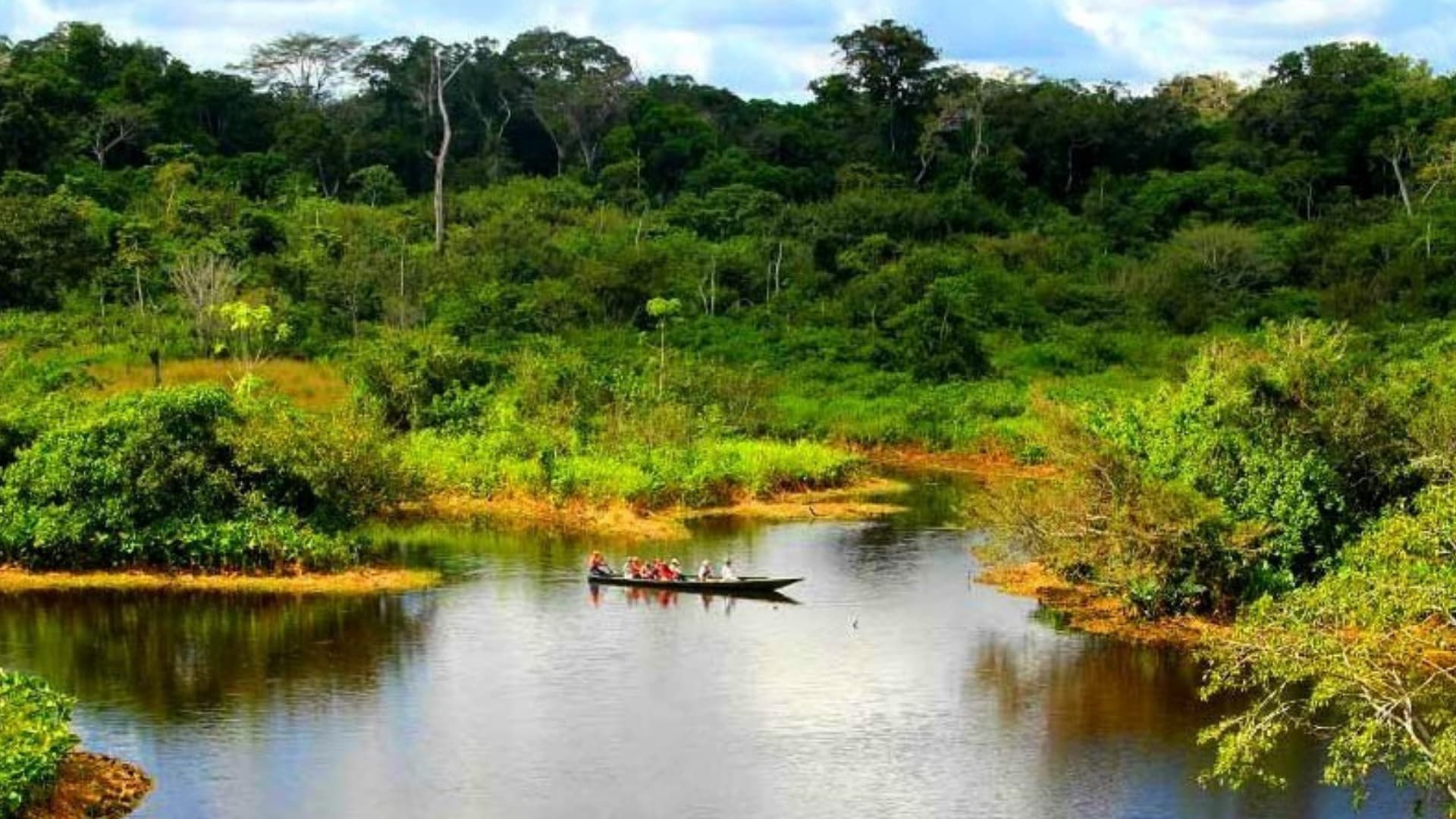 Eco Amazonia Peru