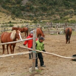 Tour Cusco Horse Riding