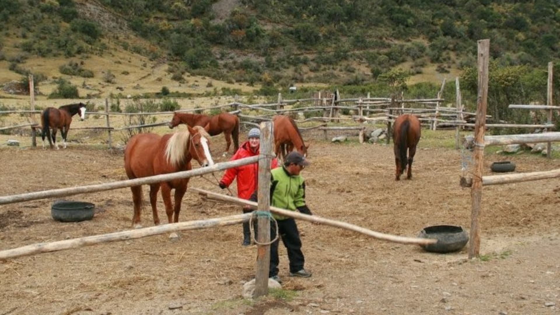 Tour Cusco Horse Riding