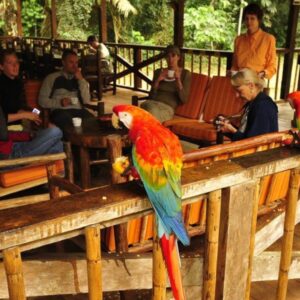 Tambopata Research Center Peru