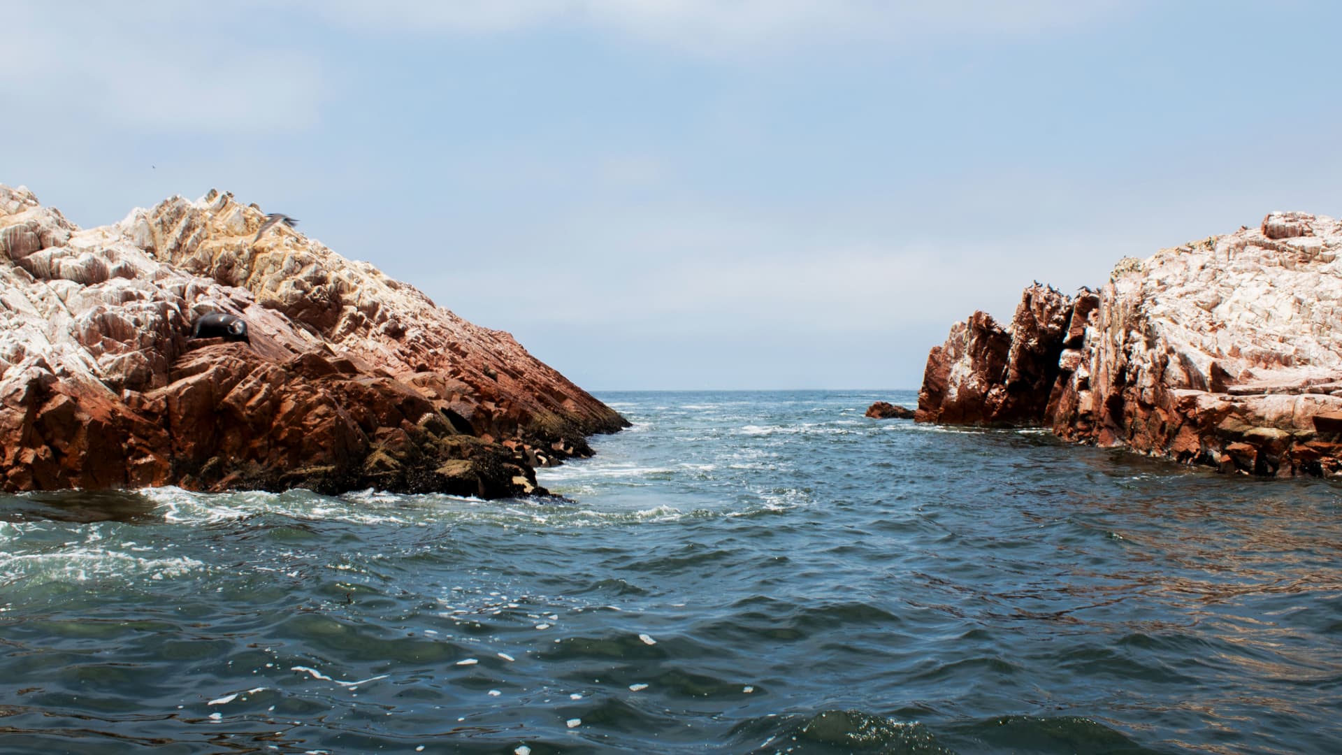 Palomino Islands, Lima