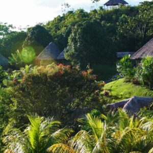 Jungle tour Iquitos 4D & 3N